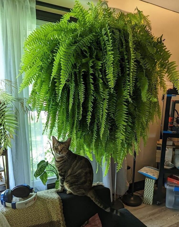 Very Huge Finds (16 pics)