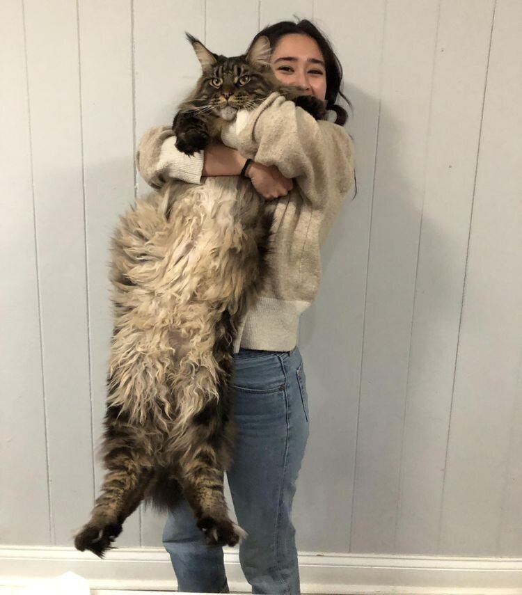 Very Huge Finds (16 pics)