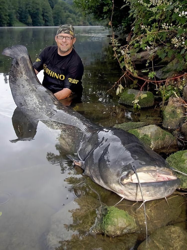Very Huge Finds (16 pics)