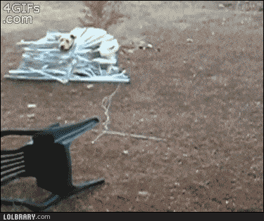 Acid GIFs, September 28 (25 gifs)