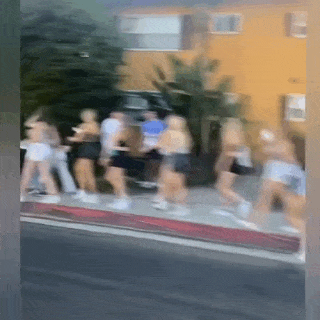 Acid GIFs, September 28 (25 gifs)