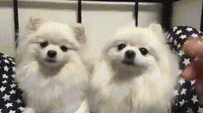 Acid GIFs, September 28 (25 gifs)