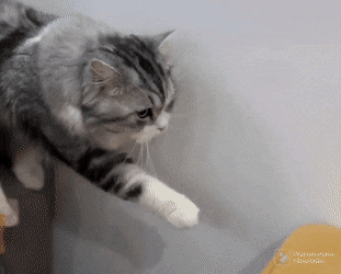 Acid GIFs, September 28 (25 gifs)
