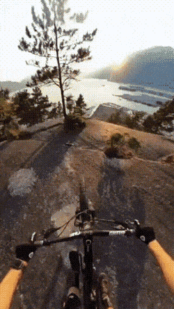 Acid GIFs, September 28 (25 gifs)