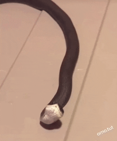 Acid GIFs, September 28 (25 gifs)