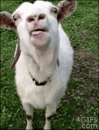 Acid GIFs, September 28 (25 gifs)