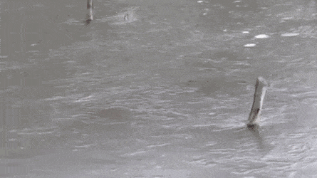 Acid GIFs, September 28 (25 gifs)