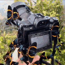 Acid GIFs, September 28 (25 gifs)