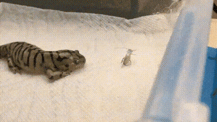 Acid GIFs, September 28 (25 gifs)