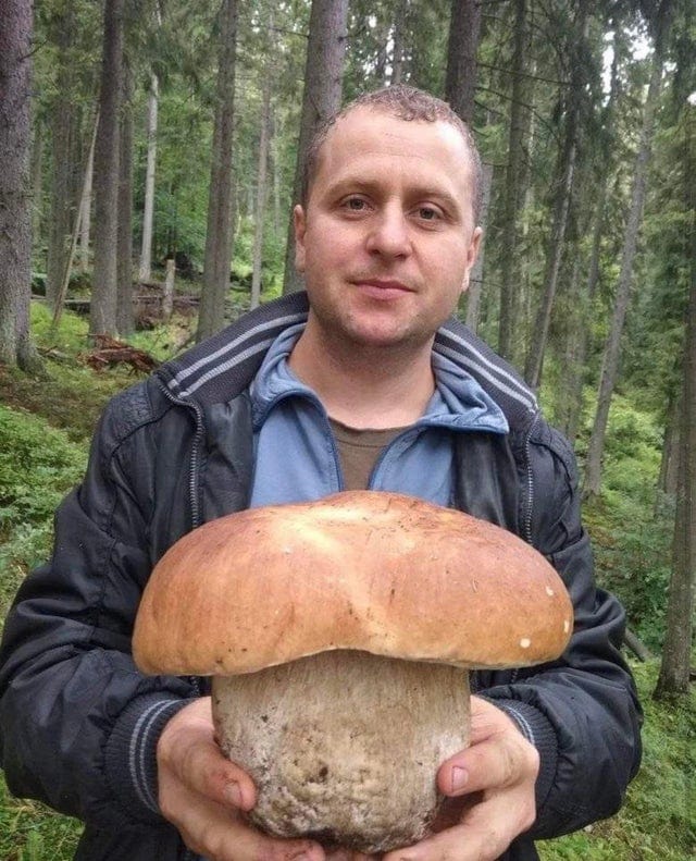 Very Huge Things (15 pics)