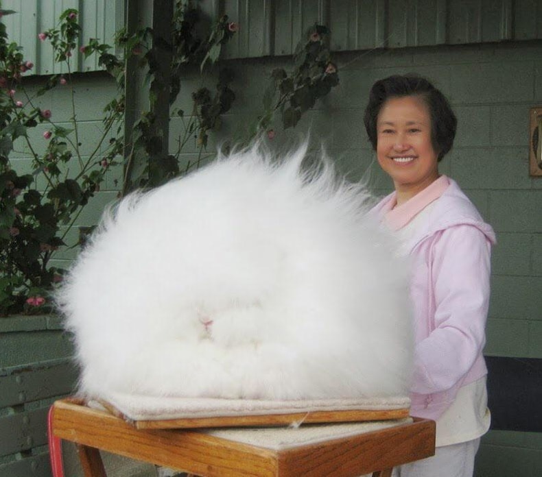 Very Huge Things (15 pics)