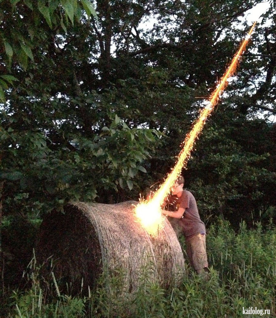Right Moment (20 pics)