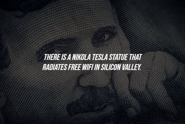 Random Facts (14 pics)