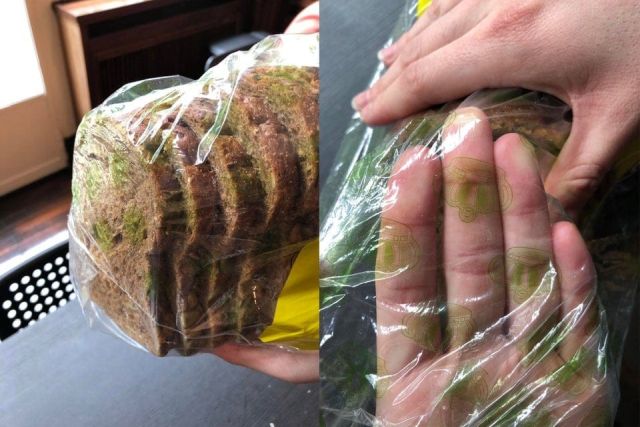 Weird Designs (15 pics)