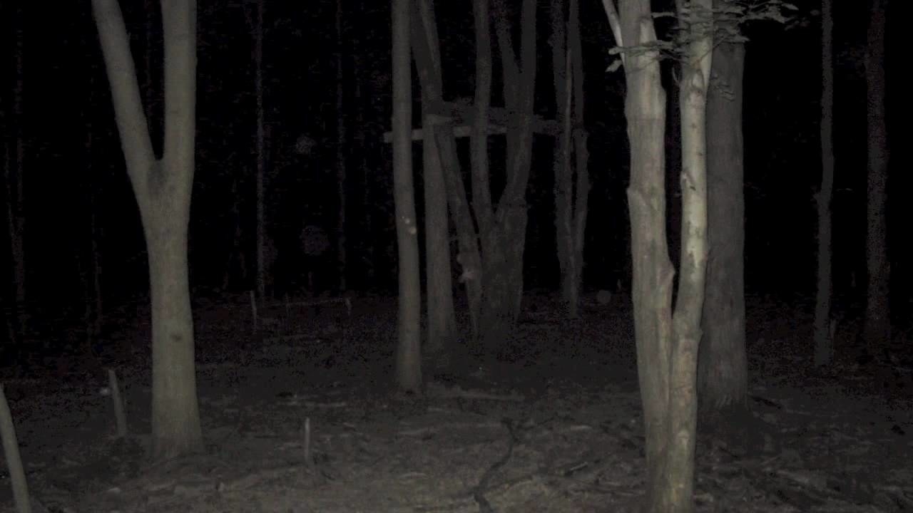 Creepy Photos (21 pics)