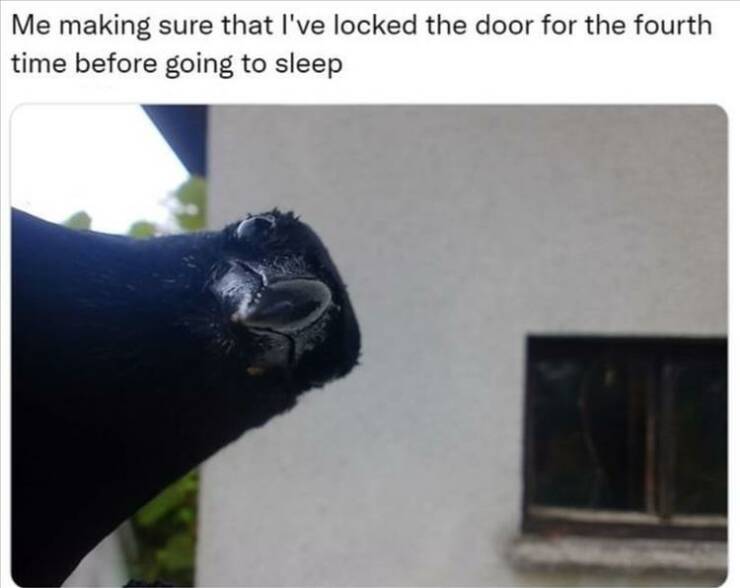Daily Pictures. Part 2 (54 pics)