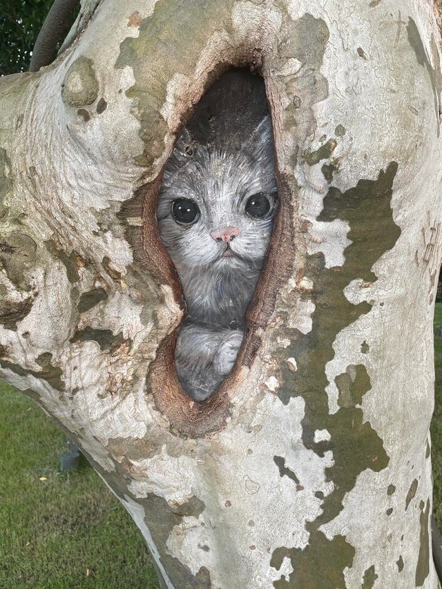 Unusual Finds (15 pics)