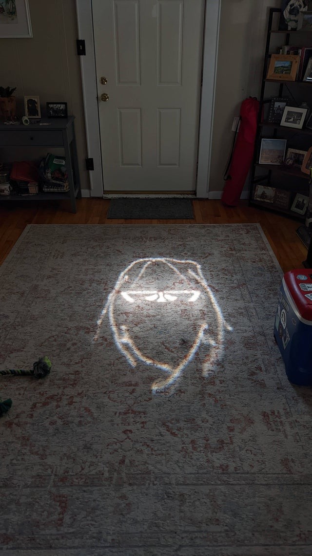 Optical Illusions (16 pics)