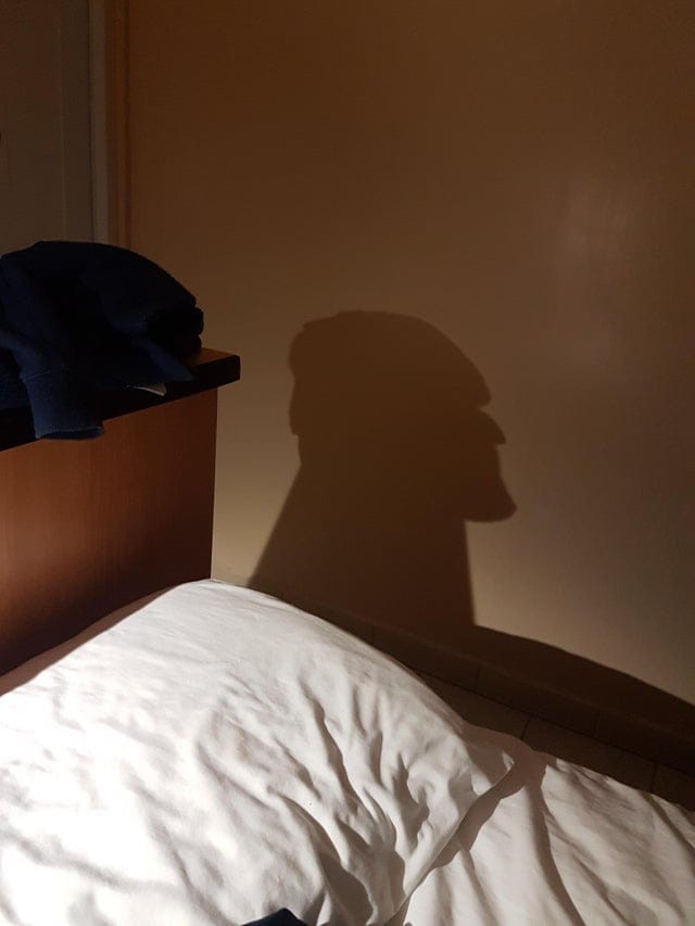 Optical Illusions (16 pics)