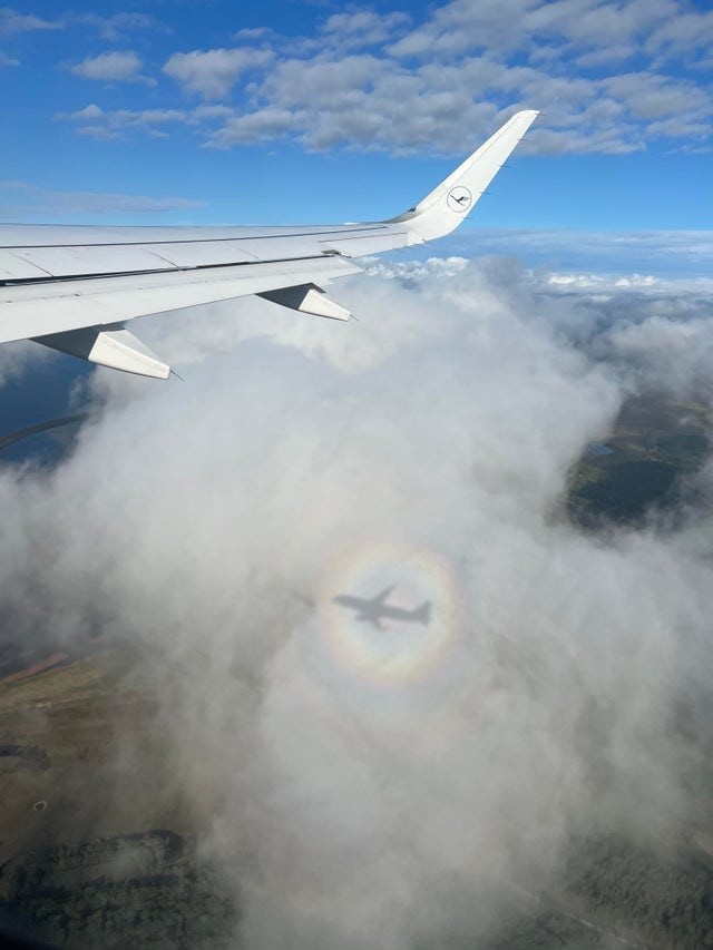 Optical Illusions (16 pics)