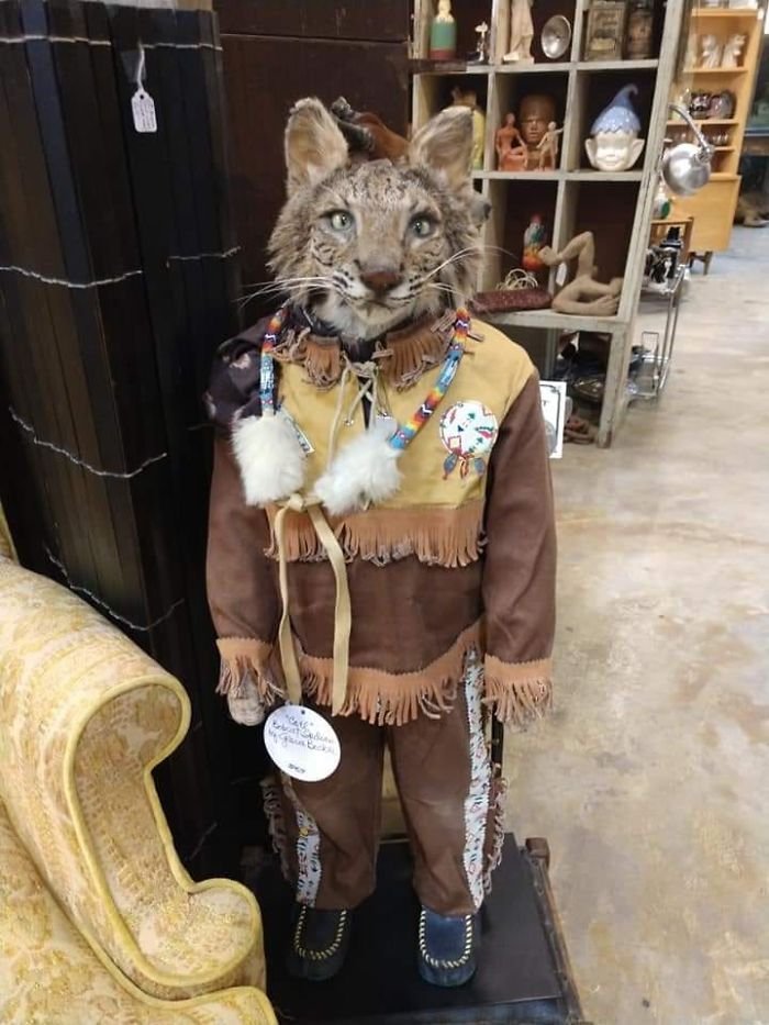 Finds In Thrift Shops (15 pics)
