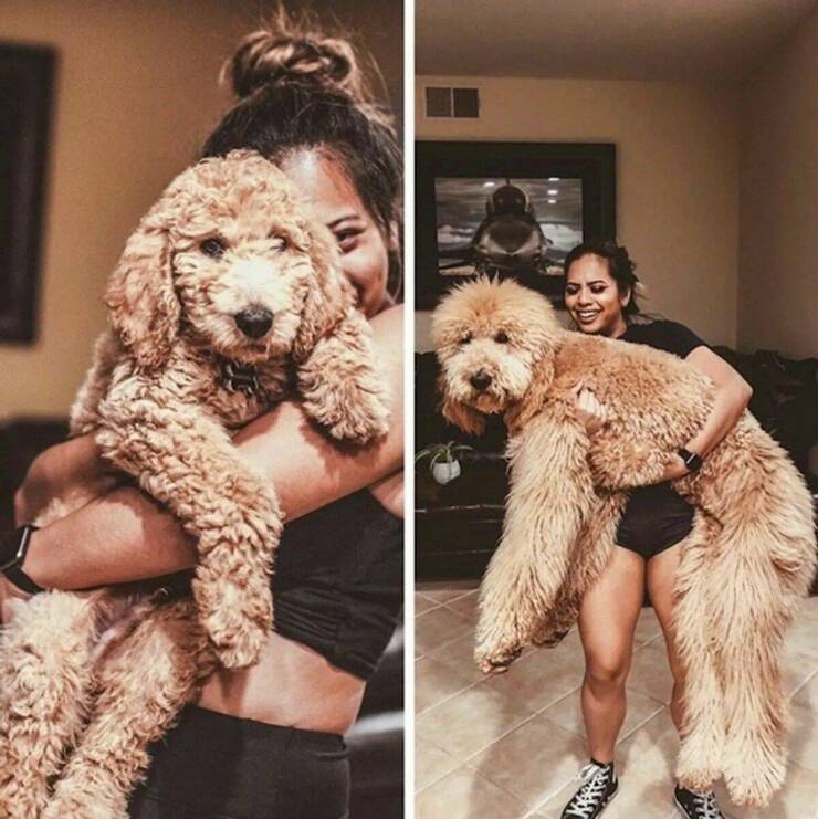 Daily Pictures. Part 1 (55 pics)