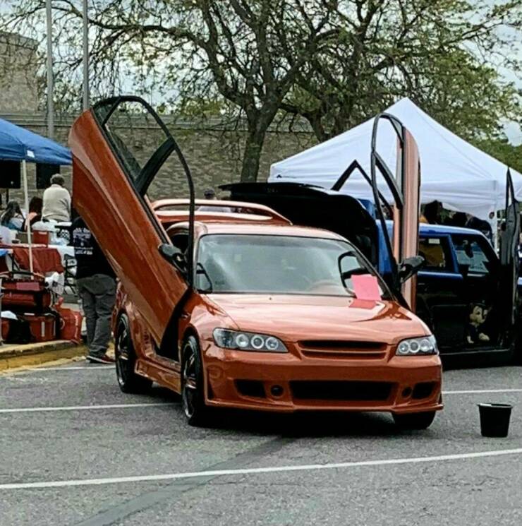 Daily Pictures. Part 1 (55 pics)