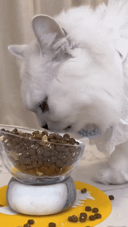 Acid GIFs, October 5 (25 gifs)