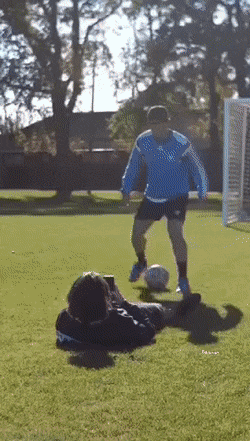 Acid GIFs, October 5 (25 gifs)