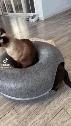Acid GIFs, October 5 (25 gifs)