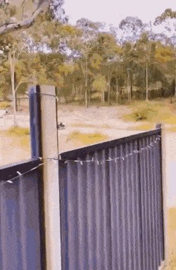 Acid GIFs, October 5 (25 gifs)