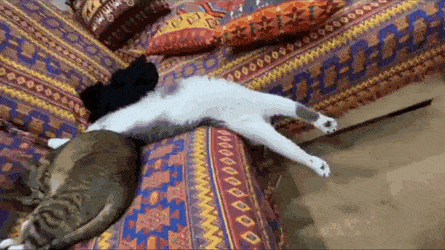 Acid GIFs, October 5 (25 gifs)