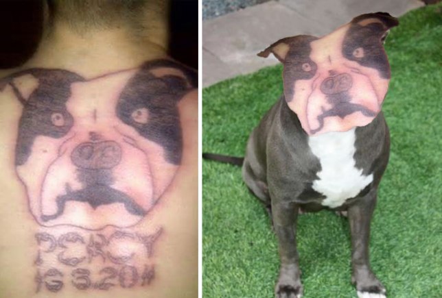 Terrible Tattoos (16 pics)