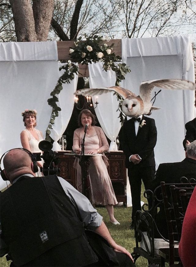 Look Twice (17 pics)