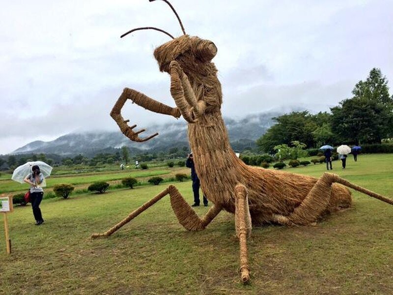 Unusual Sculptures From Japan (15 pics)
