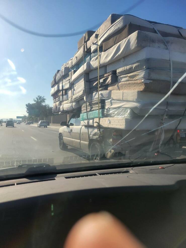 Daily Pictures. Part 2 (59 pics)