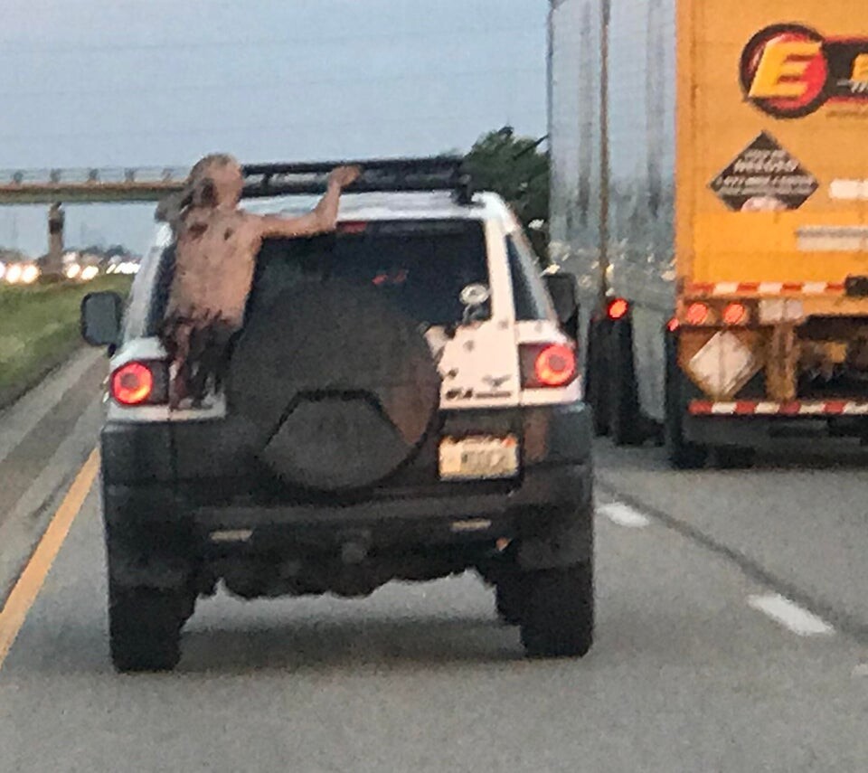 What Is Going On Here? (20 pics)