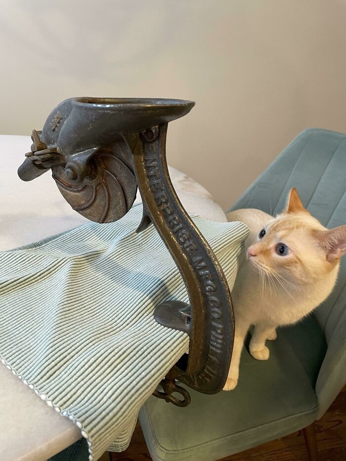 Immortal Things From The Past (23 pics)