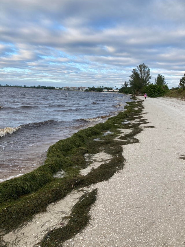 Aftermath Of The Hurricane (17 pics)