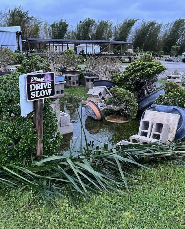 Aftermath Of The Hurricane (17 pics)