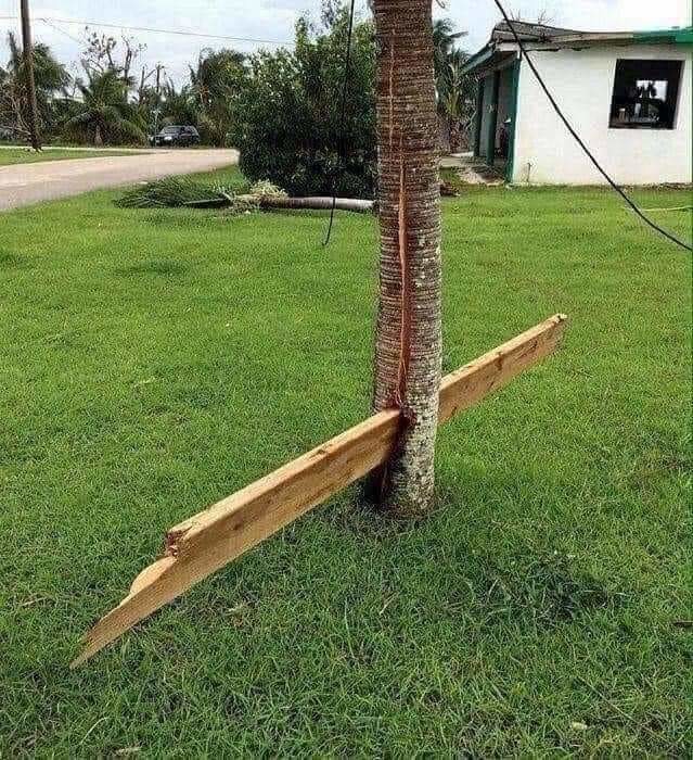 Aftermath Of The Hurricane (17 pics)