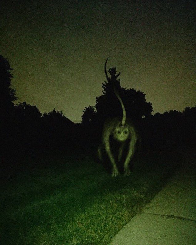Scary Photos (15 pics)