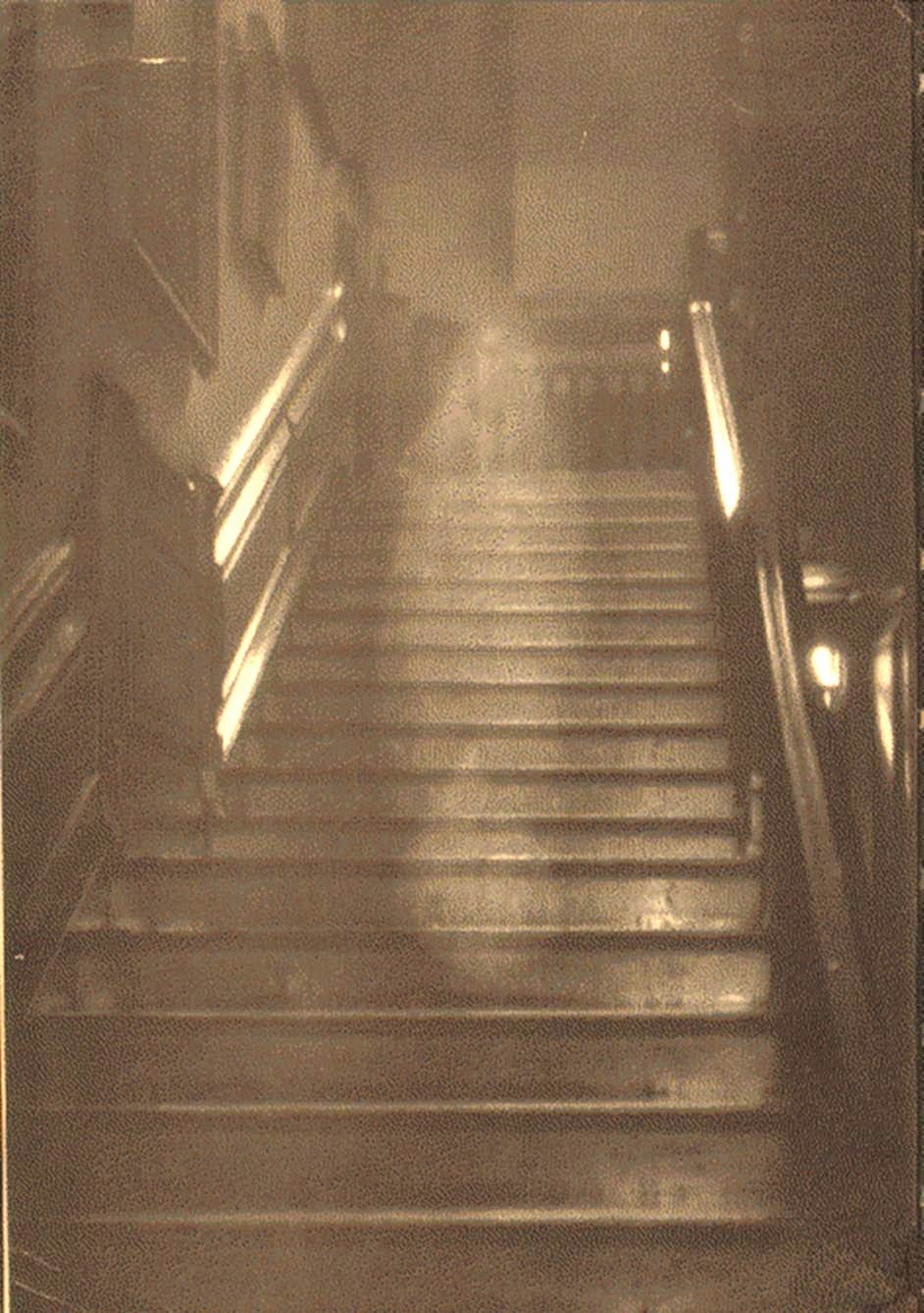Scary Photos (15 pics)