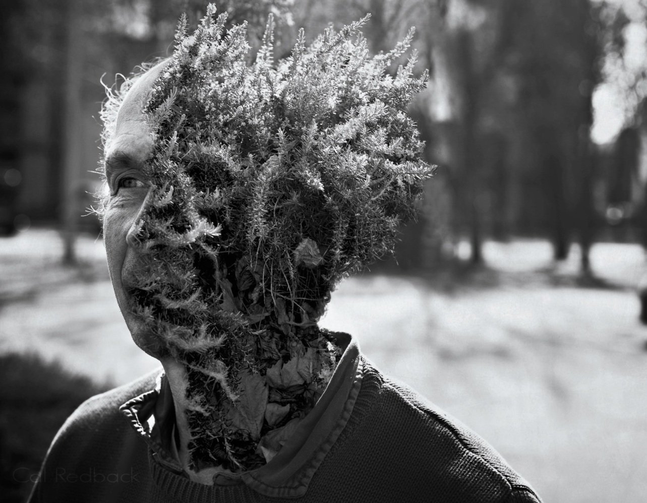 Scary Photos (15 pics)