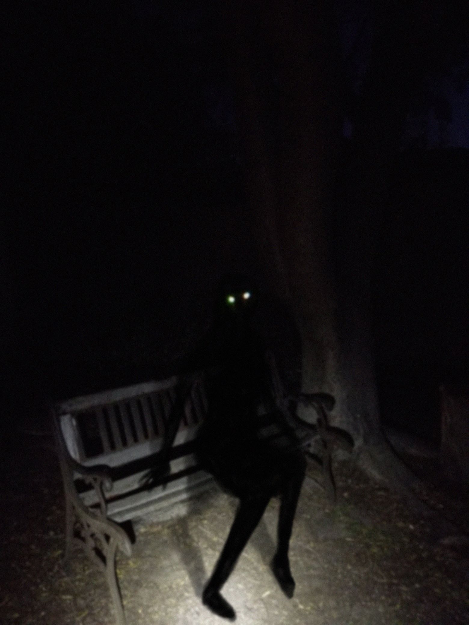 Scary Photos (15 pics)