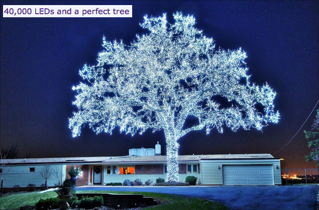 Photos For Perfectionists (18 pics)