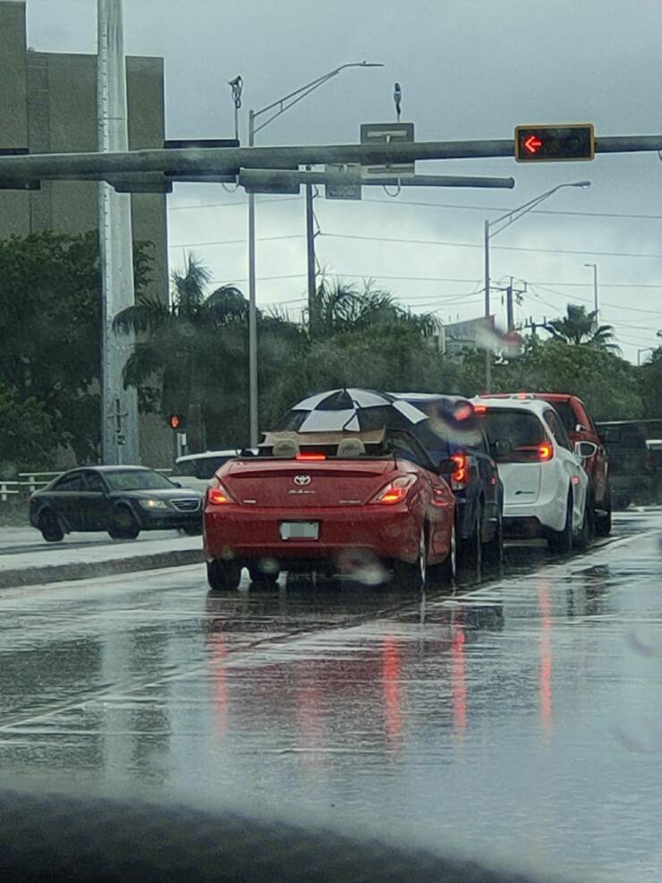 Daily Pictures. Part 2 (63 pics)