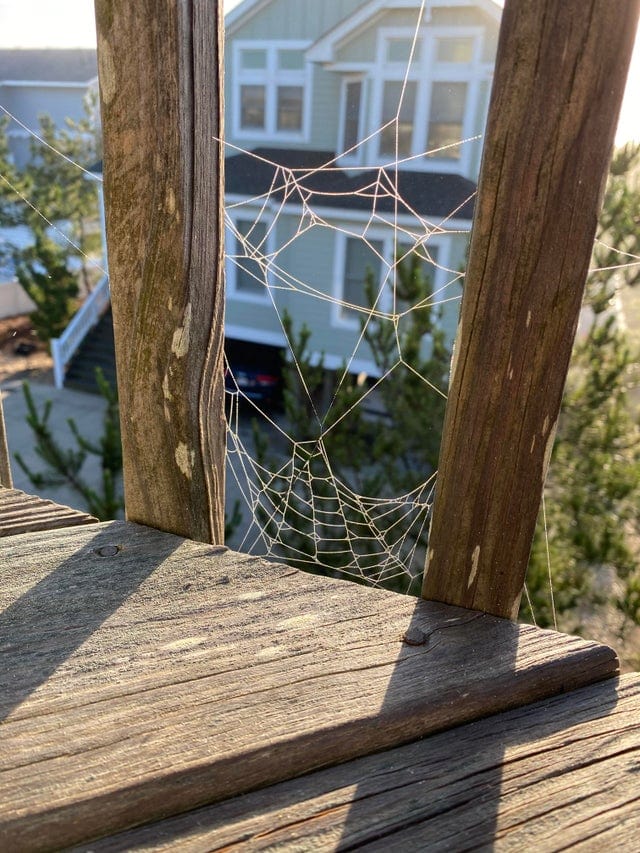 Unusual Finds (15 pics)