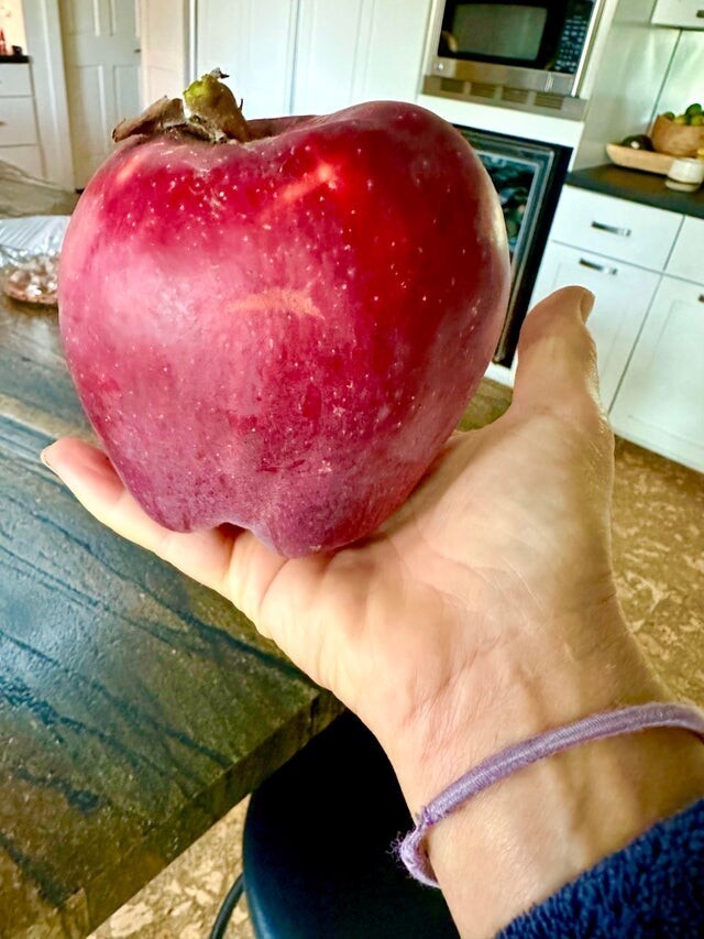 Huge Things (20 pics)