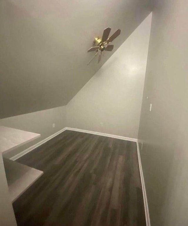 Odd Designs (14 pics)